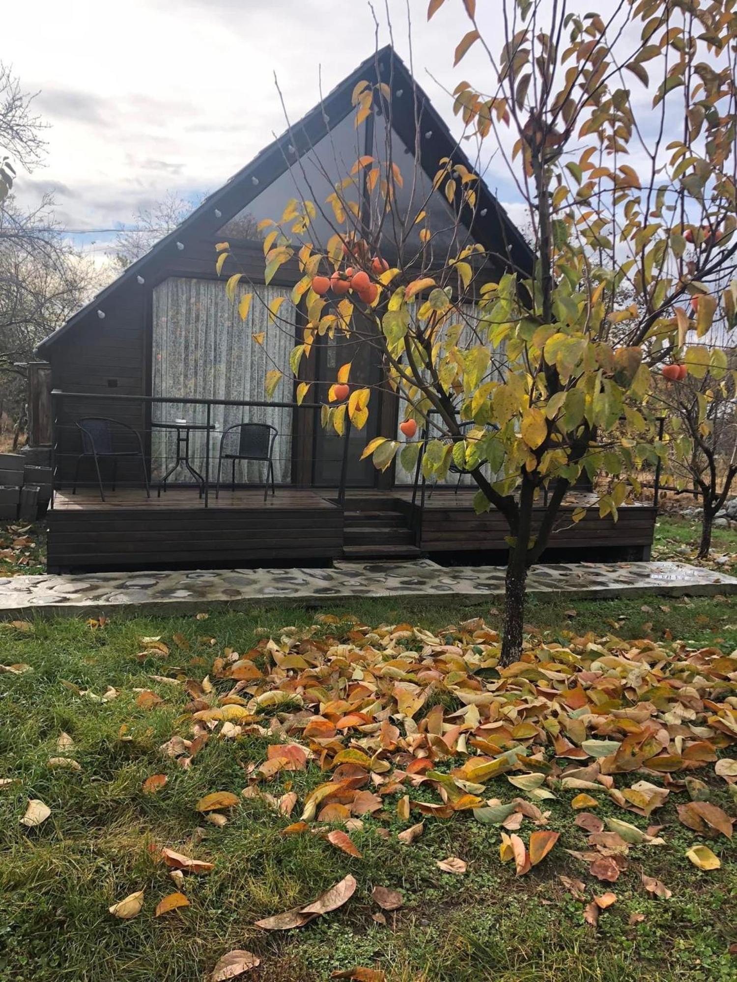 Wood House Lagodekhi Exterior photo